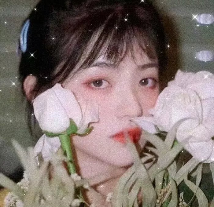 解码危机